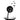 Ministempel Pusteblume